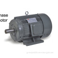 Y series three-phrase induction motor